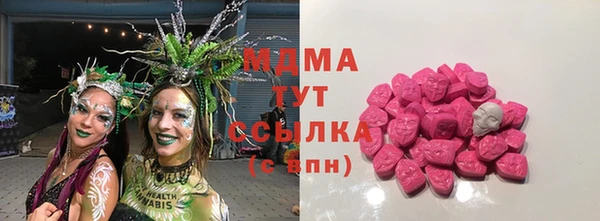 хмурый Аркадак