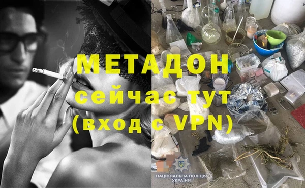 хмурый Аркадак