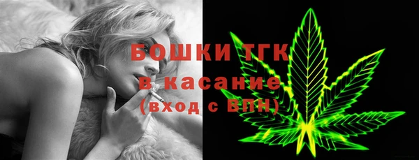 хмурый Аркадак