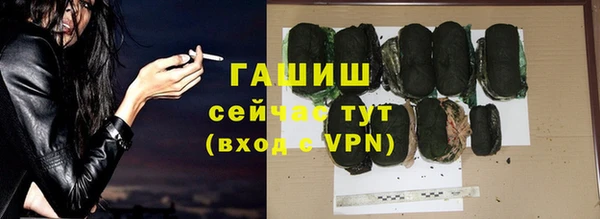 хмурый Аркадак