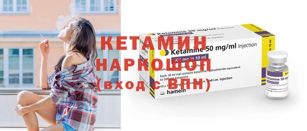 хмурый Аркадак