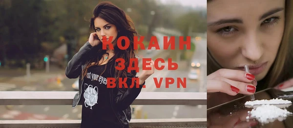 хмурый Аркадак