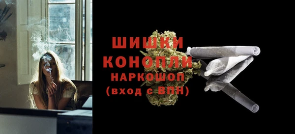 хмурый Аркадак