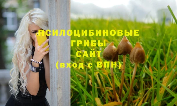 крисы Арсеньев