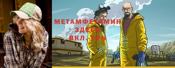 хмурый Аркадак