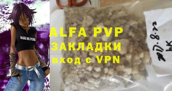 хмурый Аркадак