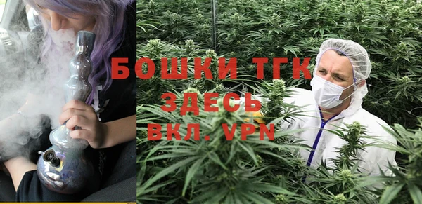 хмурый Аркадак