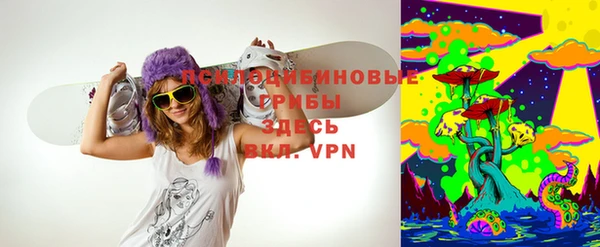 хмурый Аркадак