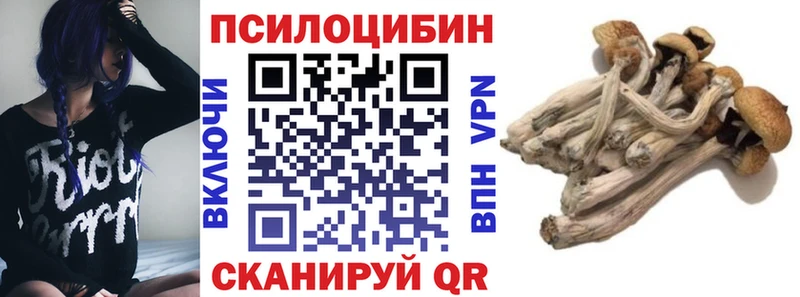 Галлюциногенные грибы MAGIC MUSHROOMS  купить наркотики цена  Зеленоградск 